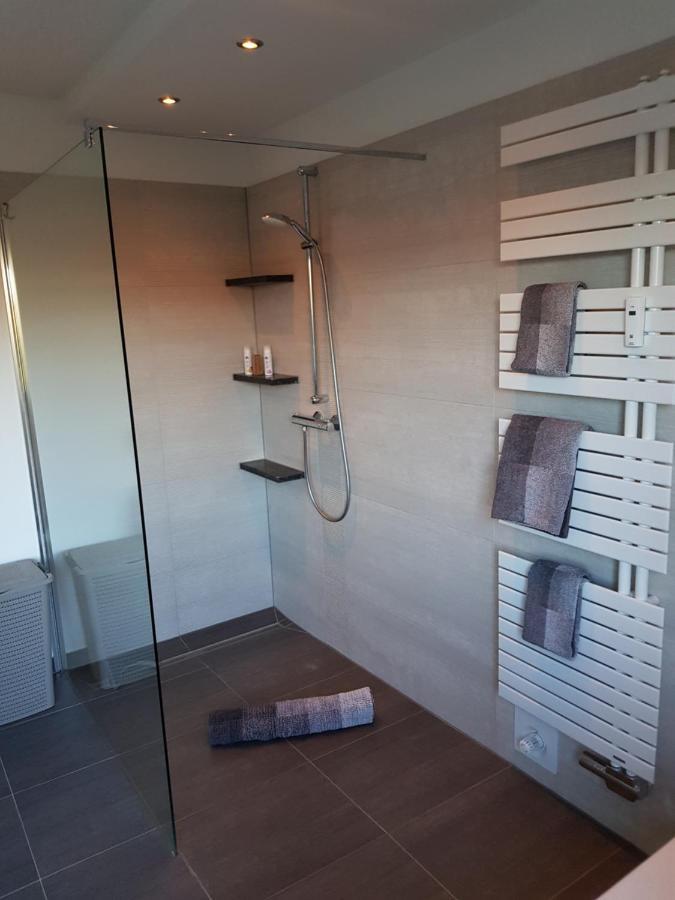Haus Rebenblick Daire Dierbach Dış mekan fotoğraf