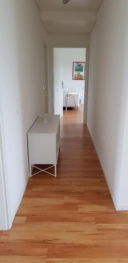 Haus Rebenblick Daire Dierbach Dış mekan fotoğraf