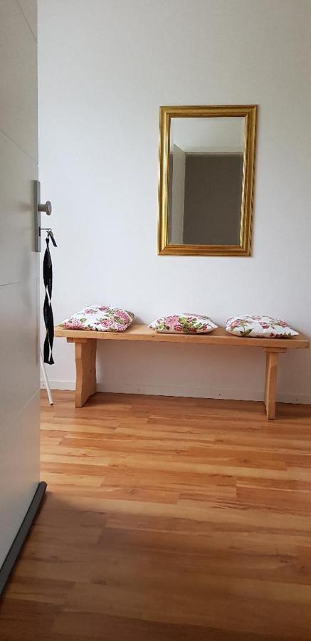 Haus Rebenblick Daire Dierbach Dış mekan fotoğraf