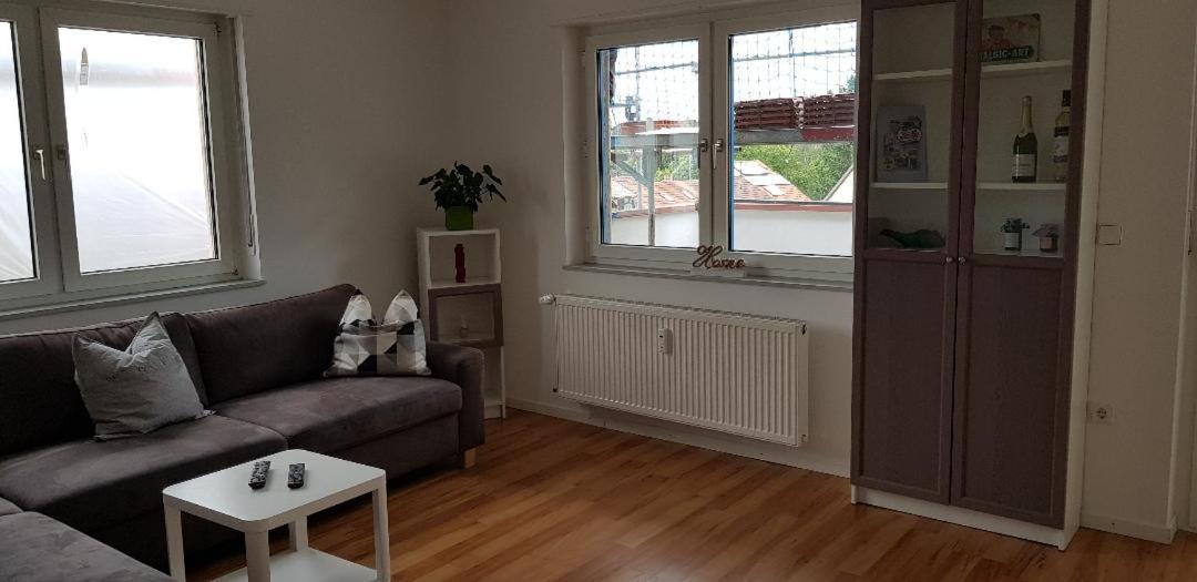 Haus Rebenblick Daire Dierbach Dış mekan fotoğraf
